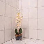 Black Forest Schwarzwaldblick Indoorpool Wifi Komfort 아파트