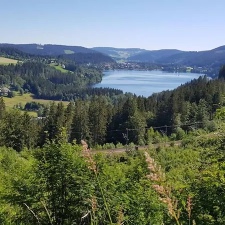 Apartment Black Forest Schwarzwaldblick Indoorpool Wifi Komfort Hoechenschwand