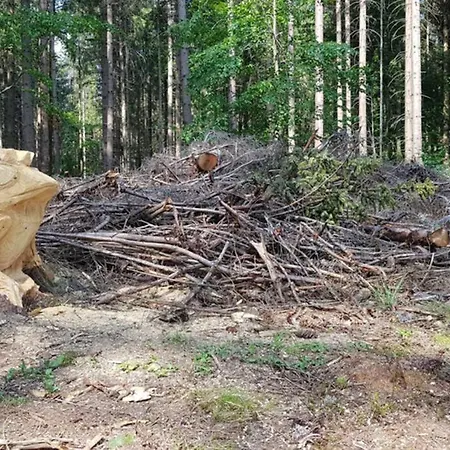 דירה Black Forest Schwarzwaldblick Indoorpool Wifi Komfort הוכנשוואנד