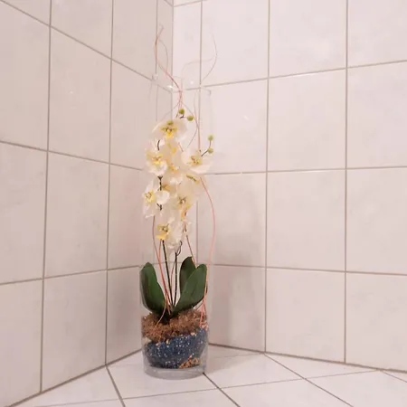 Black Forest Schwarzwaldblick Indoorpool Wifi Komfort דירה