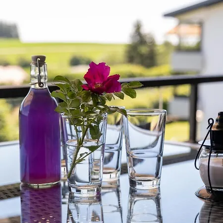 Appartement Black Forest Schwarzwaldblick Indoorpool Wifi Komfort